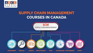 Read more about the article Top Colleges for Supply Chain Management Courses in Canada